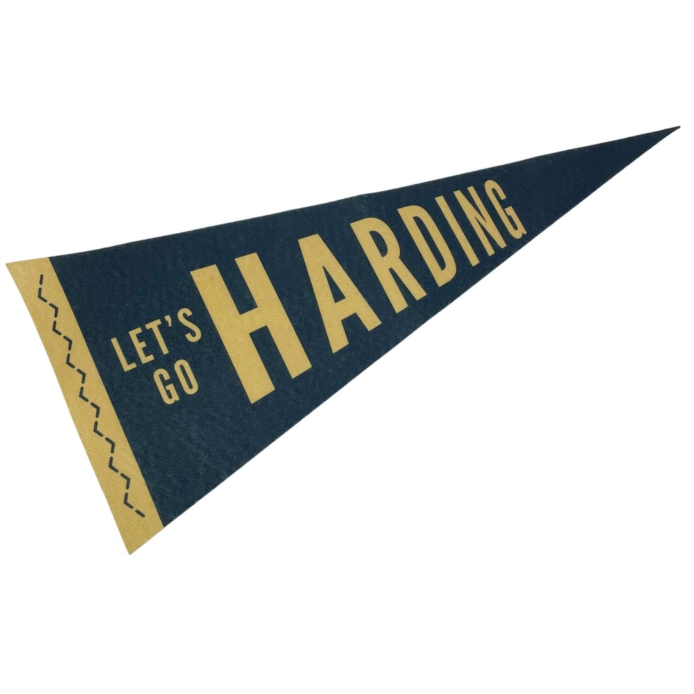 Vintage Harding University Felt Pennant Navy Gold "Let's Go" School Spirit Great